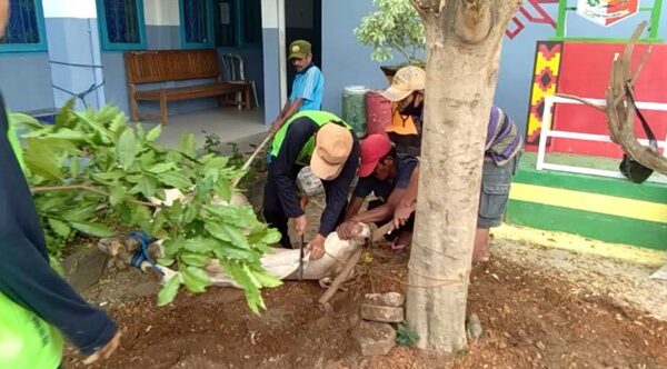 Meriahkan Idul Adha 1442 H , SMAN 1 Kotabumi gelar pemotongan Hewan Kurban Meriahkan Idul Adha 1442 H , SMAN 1 Kotabumi gelar pemotongan Hewan Kurban