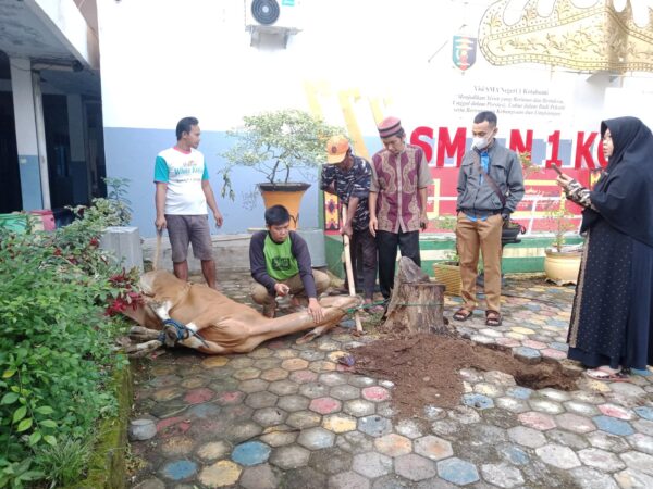 Latih Semangat Berbagi, SMA Negeri 1 Kotabumi Gelar Kegiatan Penyembelihan Hewan Kurban Latih Semangat Berbagi, SMA Negeri 1 Kotabumi Gelar Kegiatan Penyembelihan Hewan Kurban